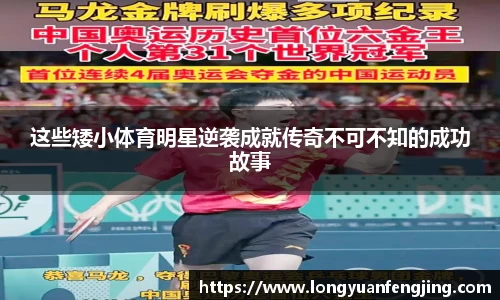 3377体育官网入口