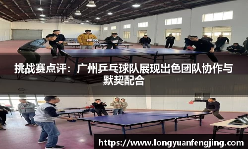 3377体育官网入口