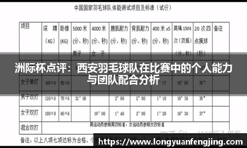 3377体育官网入口