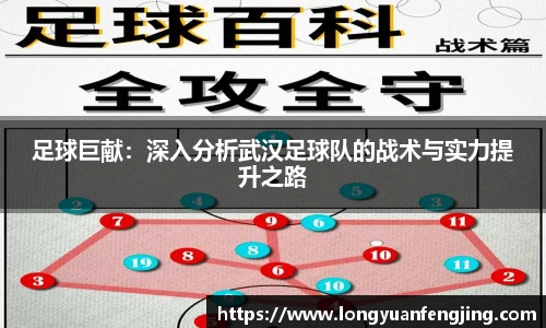 3377体育官网入口