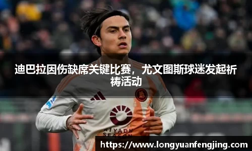 3377体育官网入口