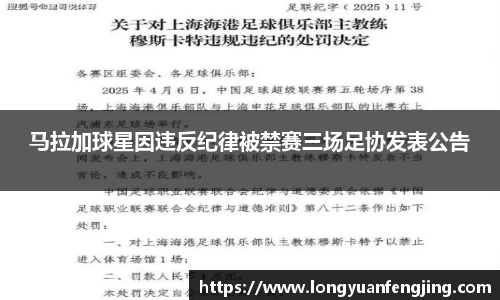 3377体育官网登录