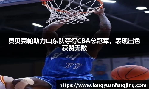 3377体育官网入口