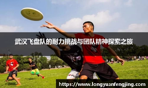 3377体育官网入口