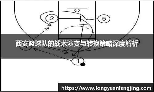 3377体育官网入口